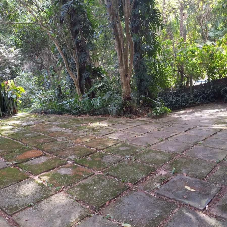 WhatsApp Image 2025-10-07 at 15.29.18